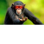 REJECT HUMANITY RETURN TO MONKEY!!!