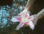 Pastel_flower389
