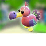 Dum Dums The Dodo