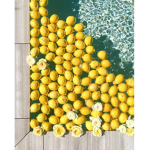 Blisterz