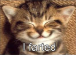 Happy Kitty Friendz