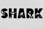 SG | Shark Games