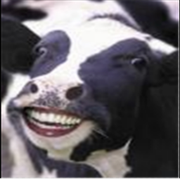 cow army home