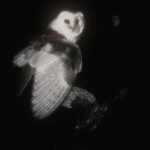 Wᅠ