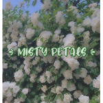 misty petals