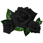 Black Rose Law Enforcement