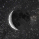 smiling*cat moon