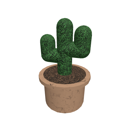 Cactus in pot