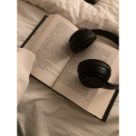 {library}