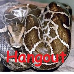 🐍Python People Hangout🐍 NOW WITH ADMIN!
