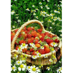Lexi's Strawberry Patch