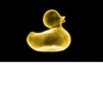 Duck Club!!!