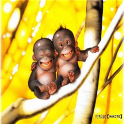 funny monkeys Roblox decal