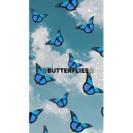 BUTTERFLIES !