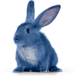 Troll_Bunny's group
