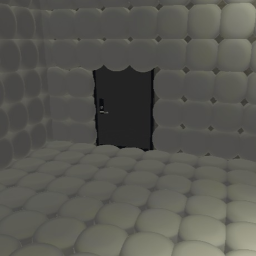 1/100000 Chance Door