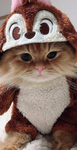 Itz”cutiefrendz