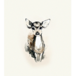 The Deer Sqaud