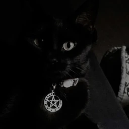 me. icon