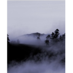 --Online-Baptist-Church--