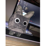 Magyar Roblox Játékosok