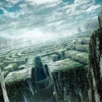The maze runner fan group game