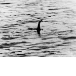 Nessie Team