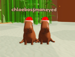 ୨୧'