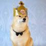 The Free States of the Doge Empire