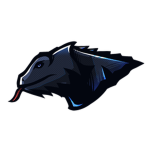 Lizard .Co