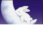 Local_bunnys