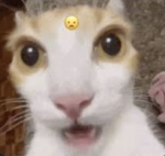 KatGotLost's Fan Group