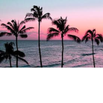 awtropiczz