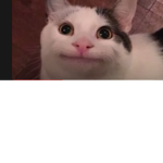 stream rotte