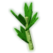 Parsley produce