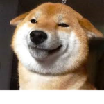 attacc of shoobs