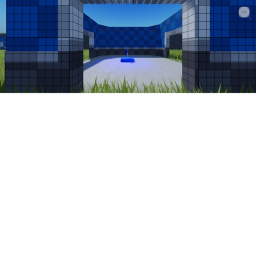Capture the flag