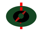 elite toxic commandos