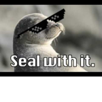 The seal fanclub!