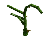 Poison Ivy plant