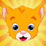RealOrangeCat Group