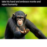 Clan o Monke