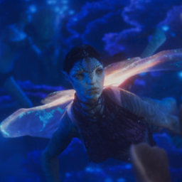 ✧･ﾟ: *✧･ﾟ:* *:･ﾟ