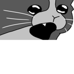 Cat Cult :D