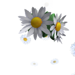 Spring Flower Crown