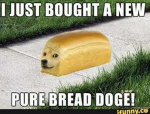 Bread doge we like bread