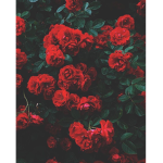 b3ele_layz
