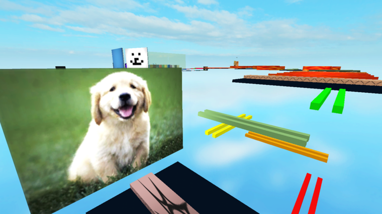 The Dog Obstacle Course