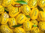 The Lemon Myriad