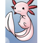 Chibi Axolotl Clubb